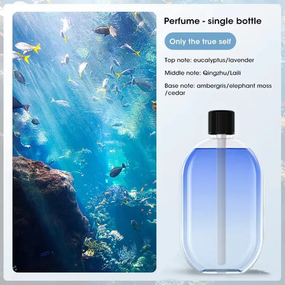 Aromatherapy Essential Oil Diffuser