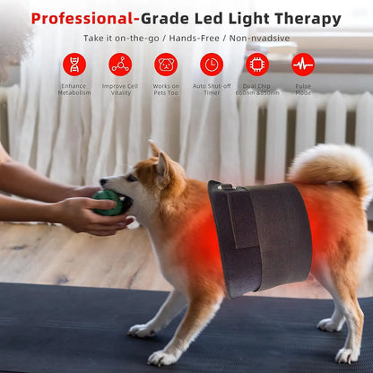 Red Infrared Light Therapy Pad